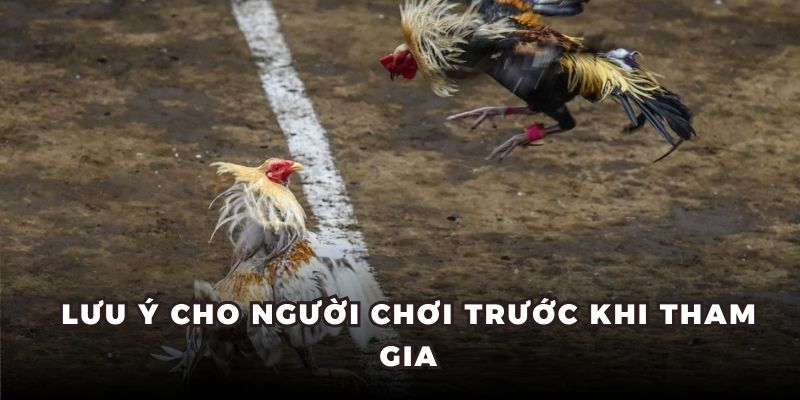 Lưu ý cho người chơi trước khi tham gia